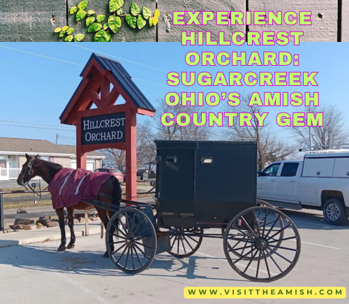 Experience Hillcrest Orchard Sugarcreek Ohio’s Amish Country Gem