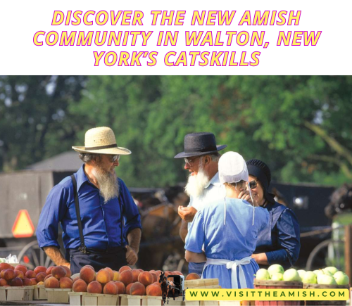 Discover the New Amish Community in Walton, New York’s Catskills.
