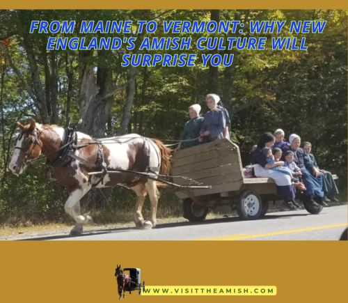 From-Maine-to-Vermont-Why-New-Englands-Amish-Culture