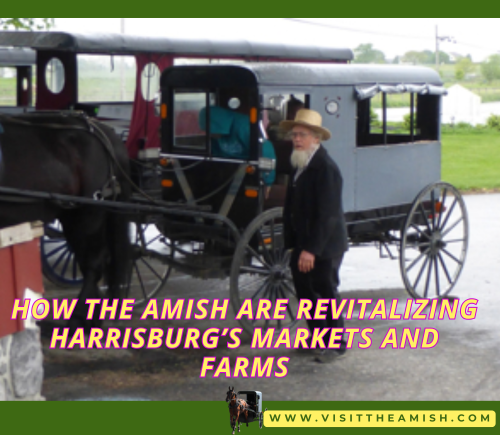 How the Amish Are Revitalizing Harrisburg’s Markets and Farms.