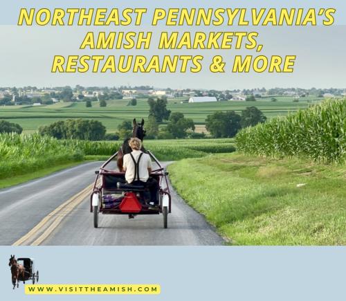 Northeast Pennsylvania’s Amish community