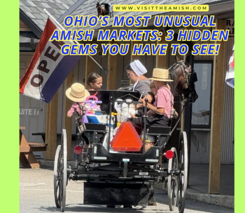 Ohio’s Most Unusual Amish Markets 3 Hidden Gems You Have to See