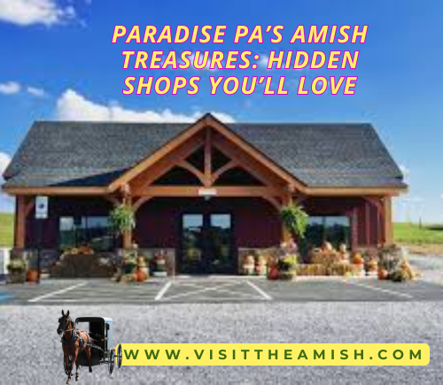 Amish crafts, handmade quilts, fresh baked goods, farm store shopping, pasture-raised eggs, grass-fed beef, homemade Amish root beer, Pennsylvania Dutch, local produce, canned jams, apple butter, basket weaving, miniature horse farm, children’s toys, petting zoo, country shopping, authentic Amish gifts, family owned business, Bird-in-Hand market, rural farm experience,