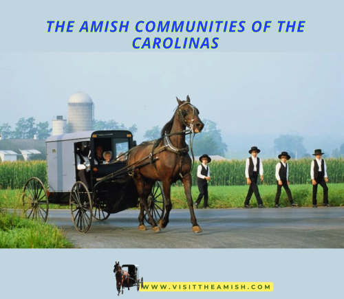 The Amish Communities of the Carolinas