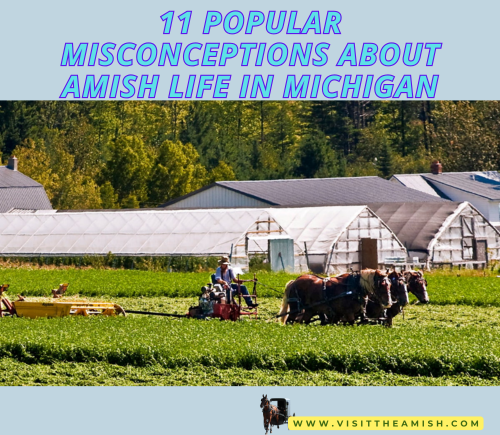 11 Popular Misconceptions About Amish Life in Michigan