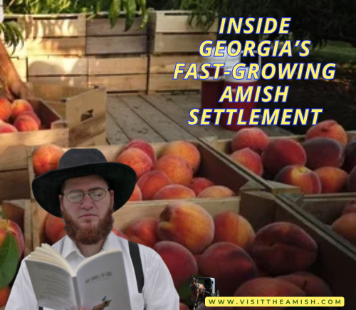 Inside Georgia’s Fast-Growing Amish Settlement