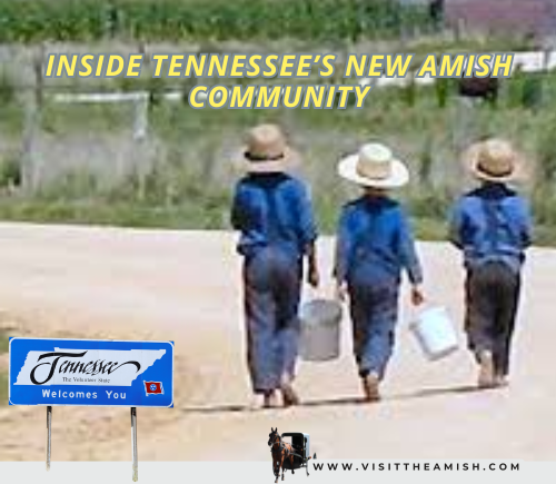 Inside Tennessee’s New Amish Community