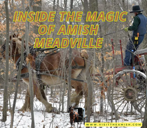 meadville amish