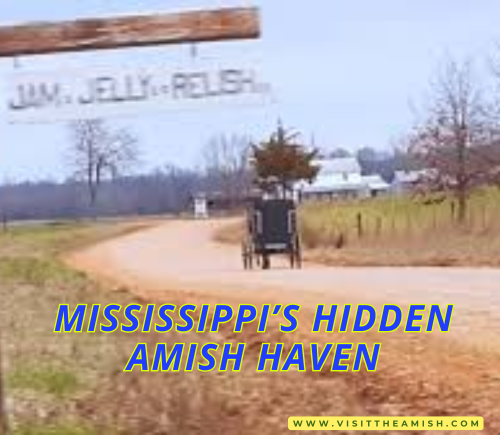 “Sweet Rolls & Southern Soul: Touring Mississippi’s New Amish Community
