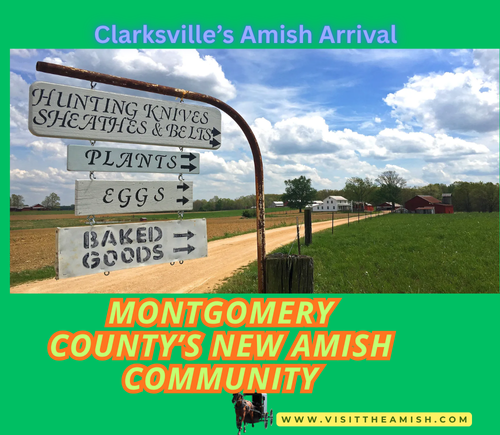 Clarksville’s Amish Arrival: Tradition, Craft, and Community in Tennessee