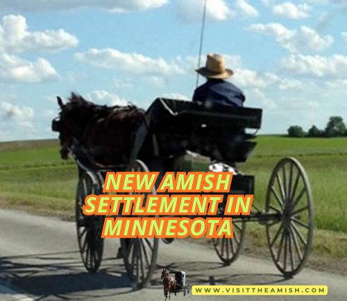 Beyond the Buggies: Discover Minnesota’s Newest Amish Community