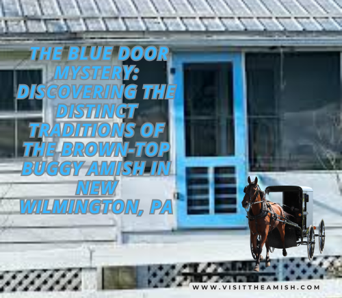 Brown Buggies & Blue Doors: Why New Wilmington, PA, Offers a Different Amish Experience