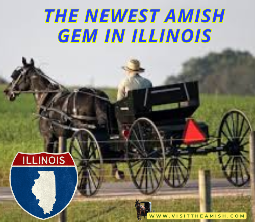 Illinois amish