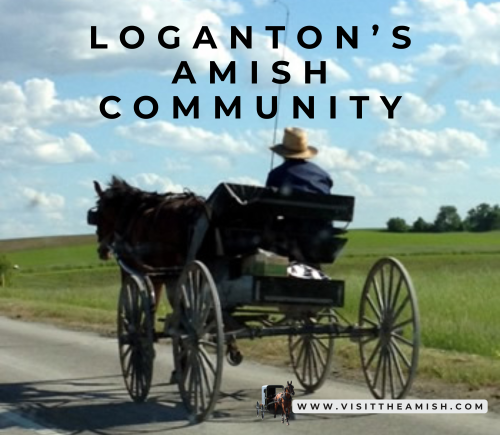 Amish Businesses in Loganton