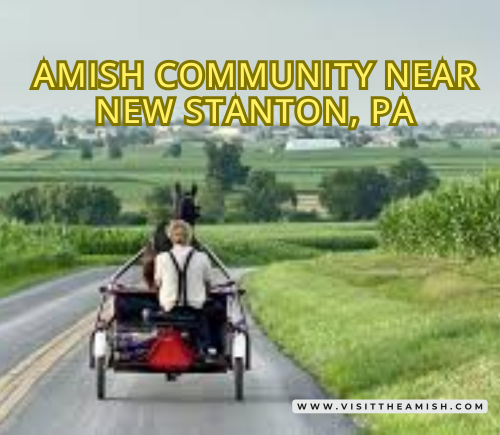 Amish community