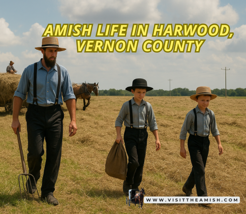 Amish Life in Harwood, Vernon County