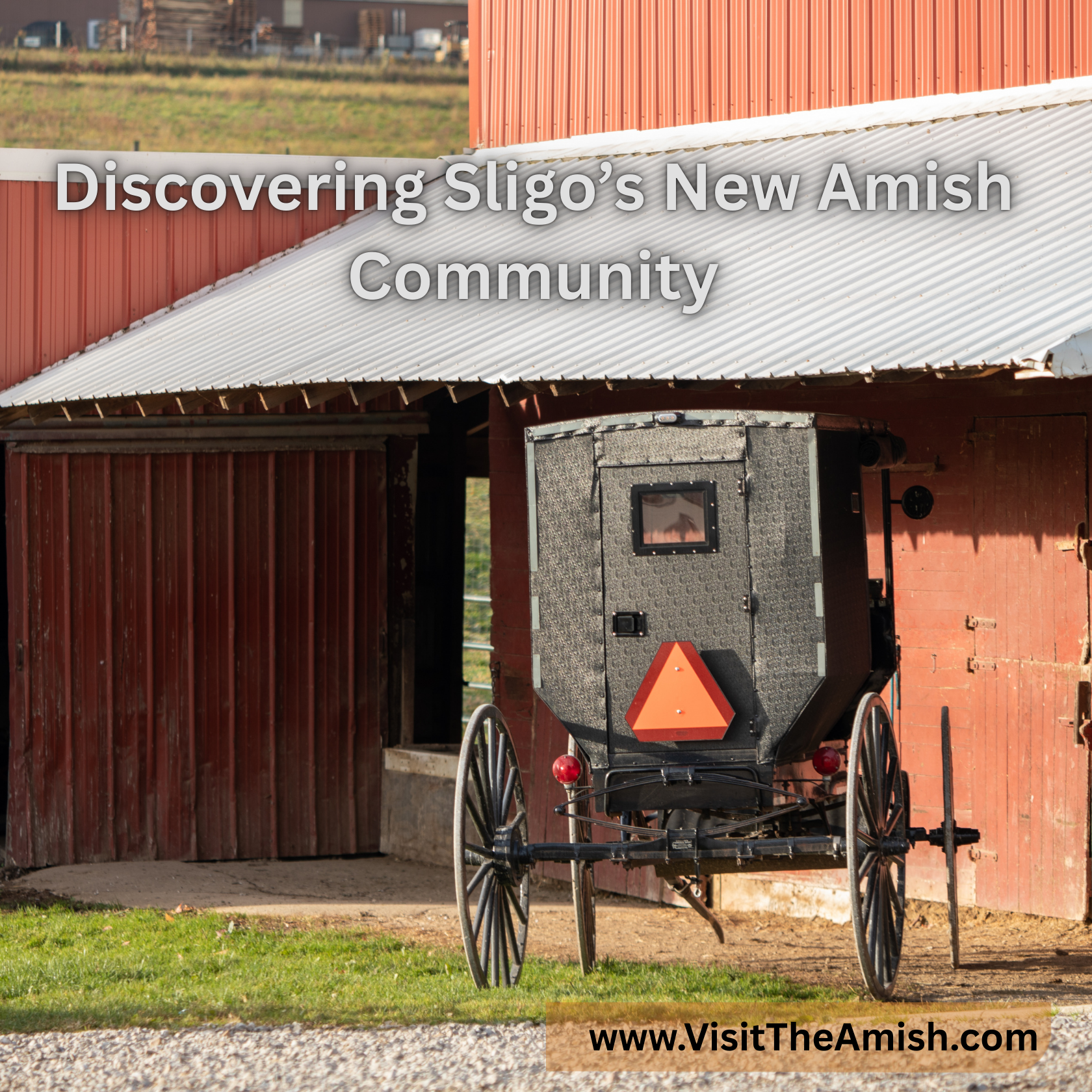 Buggies-in-the-Backroads