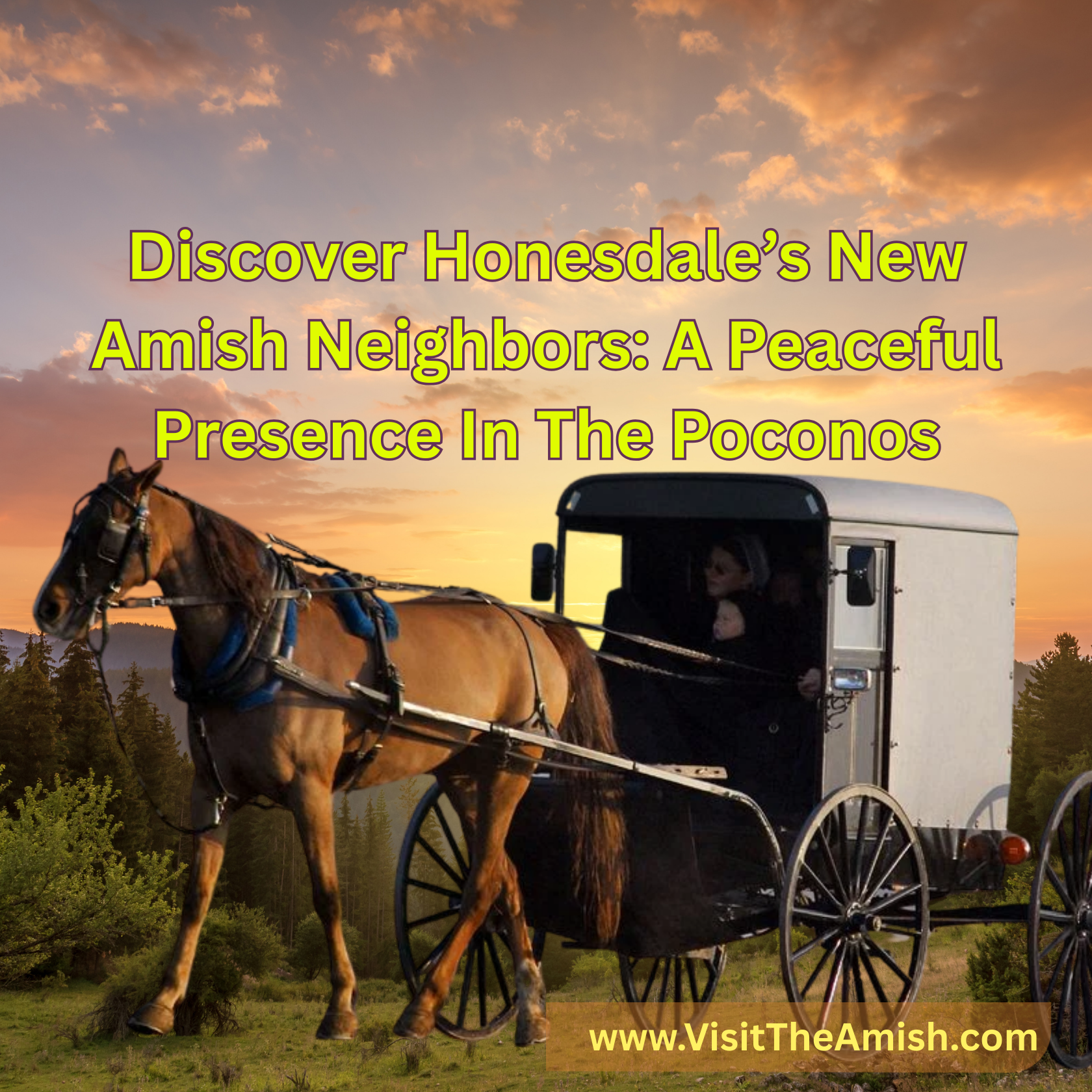 Discover Honesdale’s New Amish Neighbors A Peaceful Presence In The Poconos