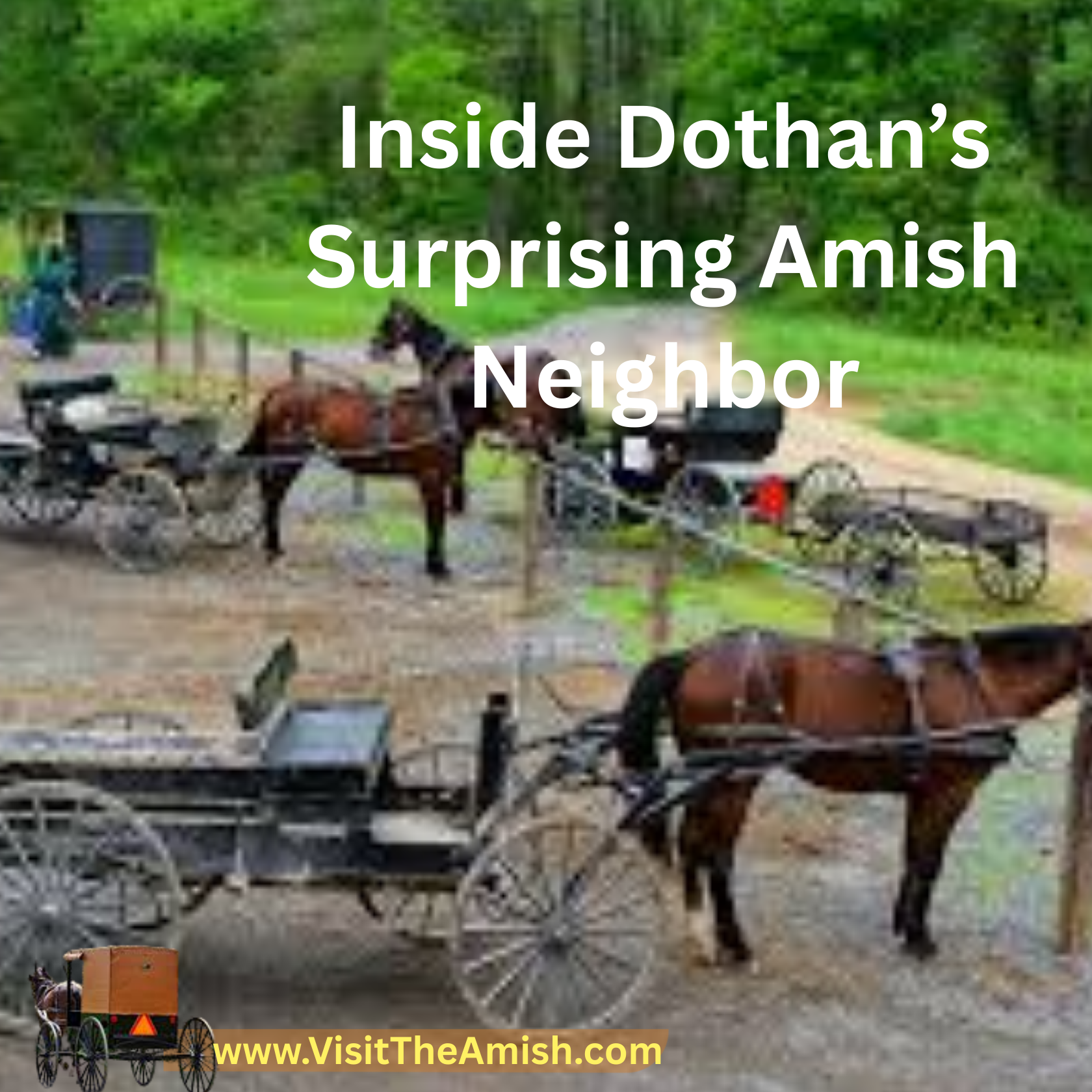 Discover The New Amish Community Quietly Transforming The Countryside Outside Dothan, Alabama