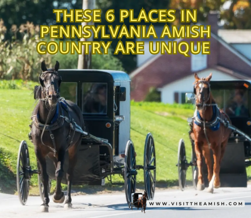 These 6 Places In Pennsylvania Amish Country Are Unique