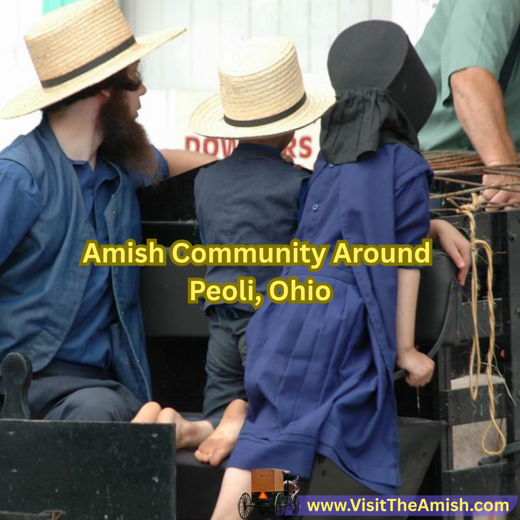 https://visittheamish.com/who-are-the-schwartzentruber-amish/