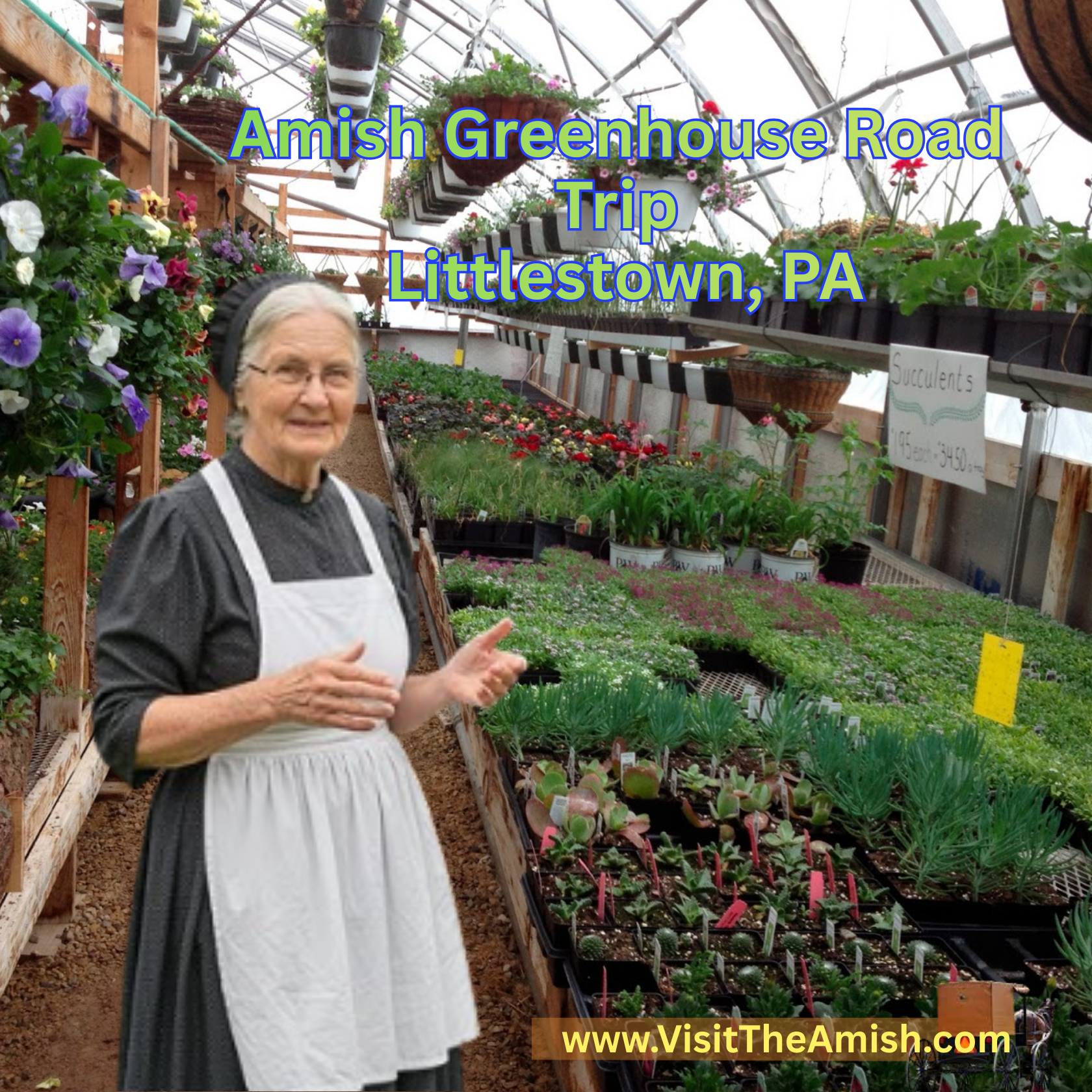 Amish-Greenhouse-Road-Trip