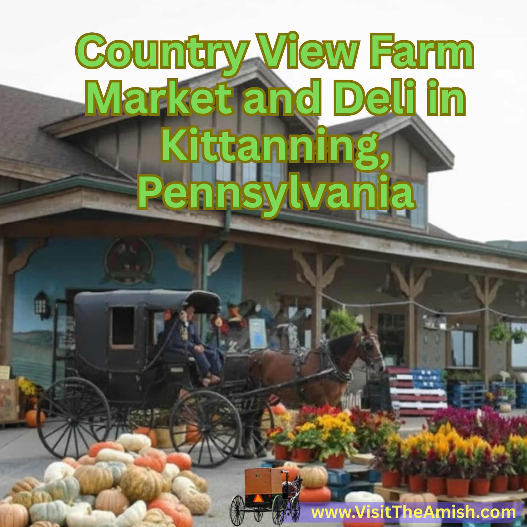 Country View Farm Market
