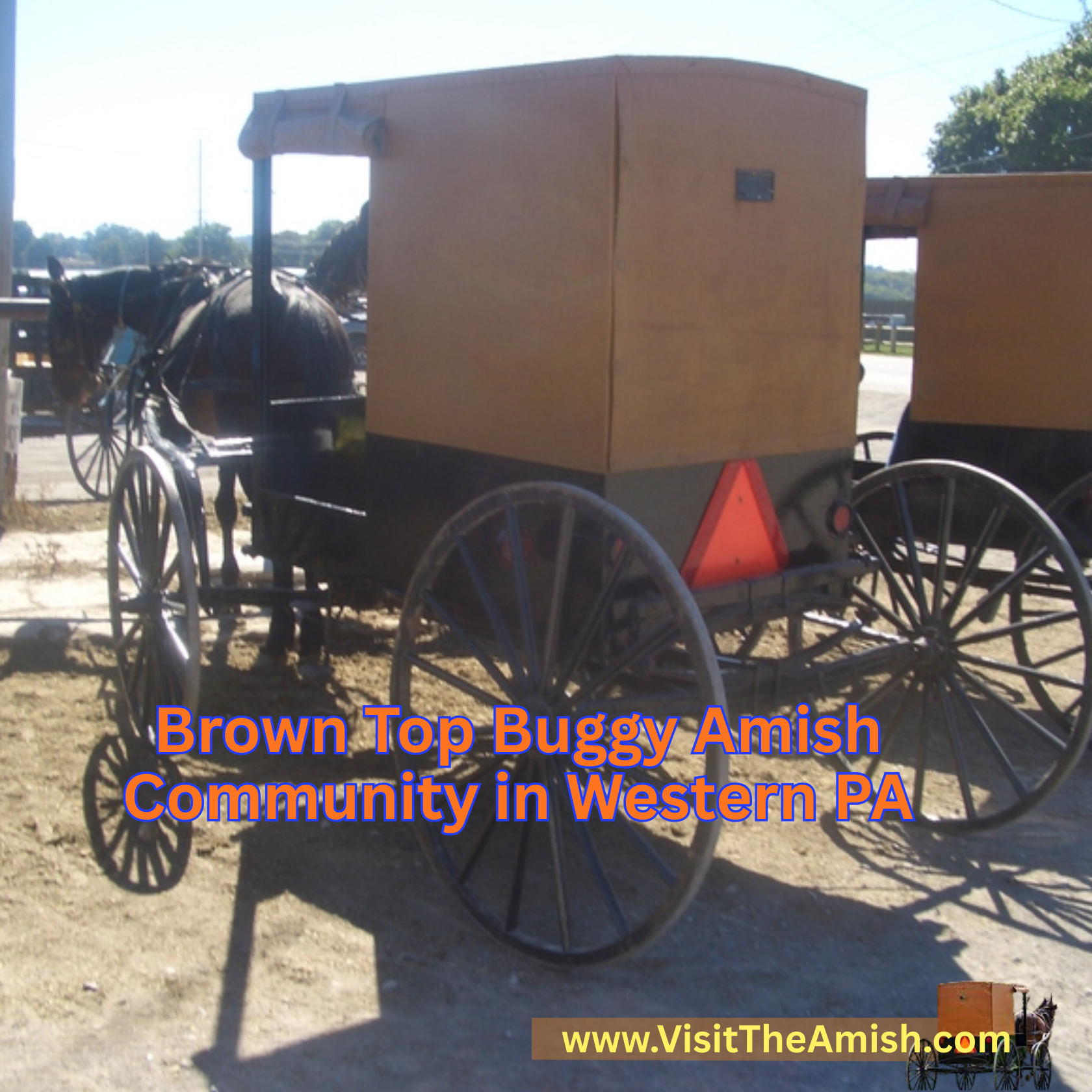 Uncover the Charm: Brown Top Buggy Amish Community in Western PA