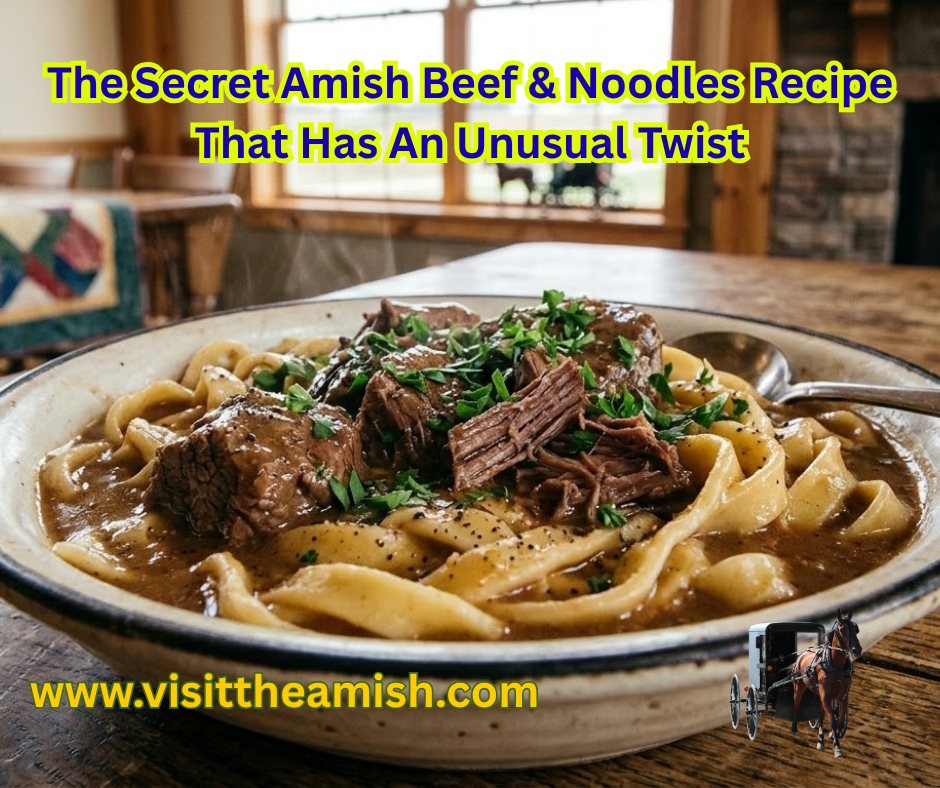 Amish Beef & Noodles Recipe