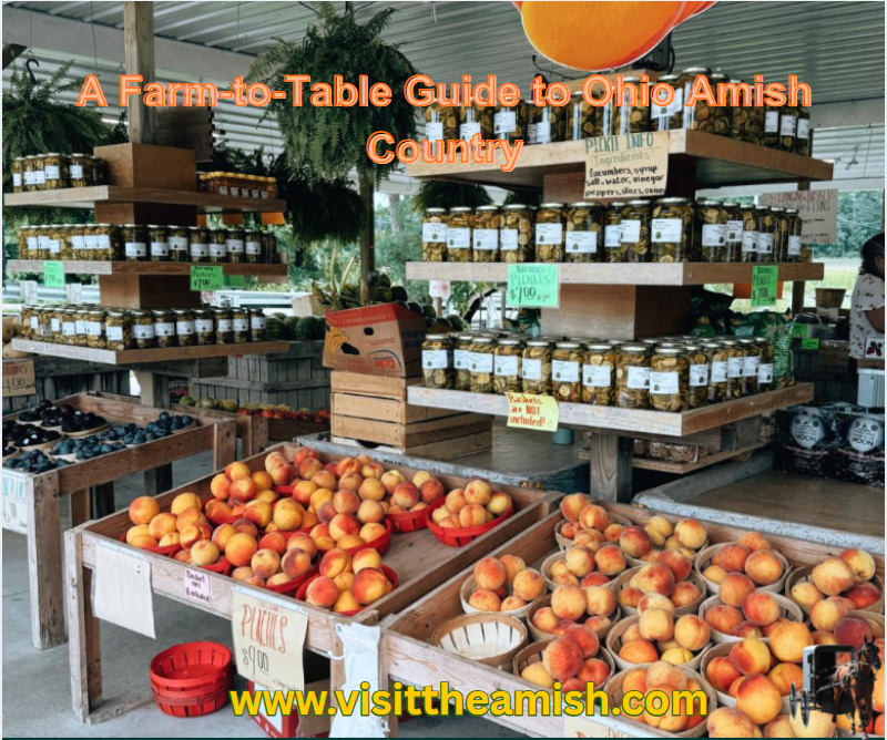 A Farm-to-Table Guide to Ohio Amish Country