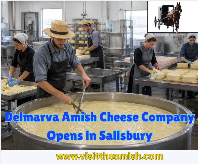 Delmarva Amish Cheese Company Opens in Salisbury