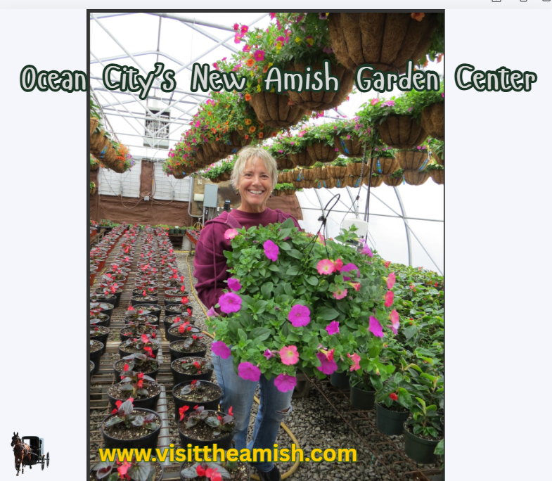 amish gardens